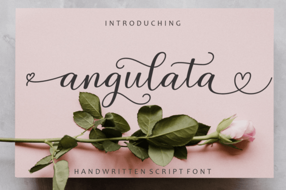 Angulata Font Review: Modern Script for Designers