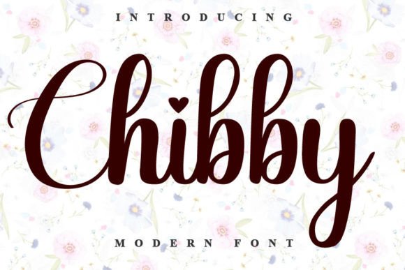 Chibby Font for Modern Web Design