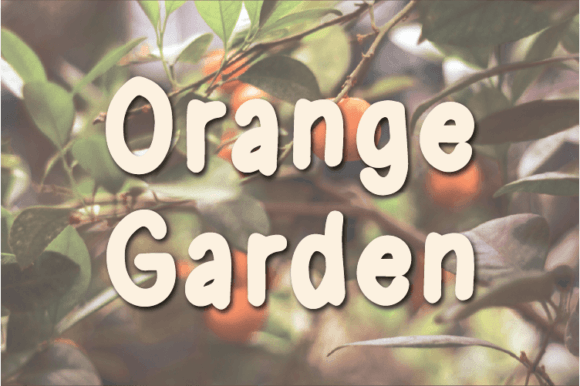 Orange Garden Font for Authentic Branding