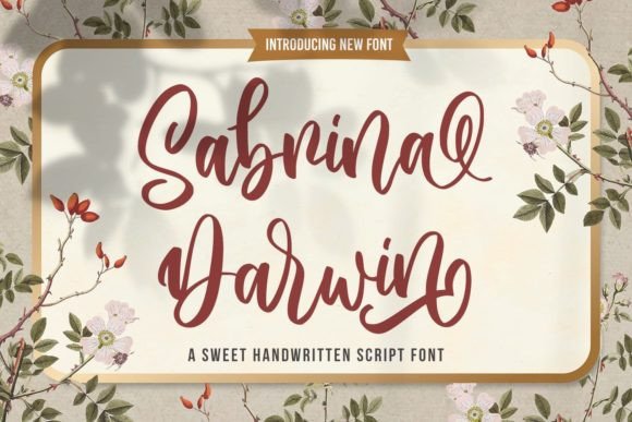 Sabrina Darwin: The Modern Handwritten Typeface for Brands